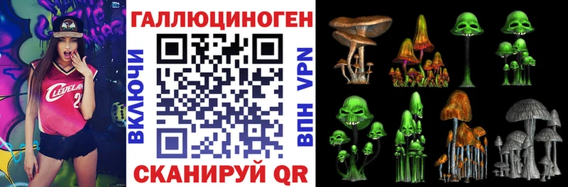 mega рабочий сайт  Качканар  Псилоцибиновые грибы Psilocybine cubensis  продажа наркотиков 