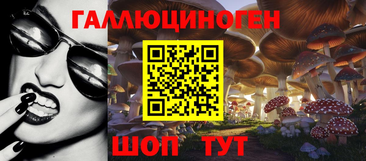 Галлюциногенные грибы прущие грибы Качканар